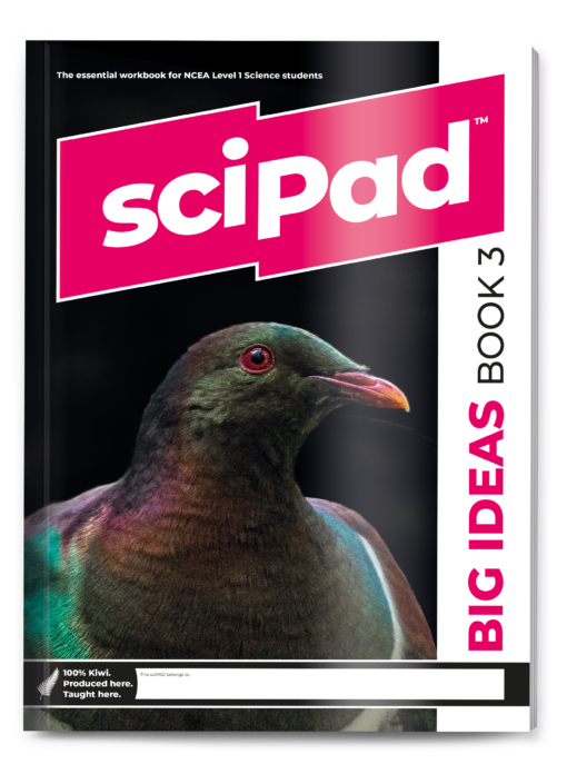 Big Ideas Book 3 sciPAD – Designed for the New Level 1 Science Standards