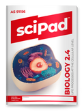 Biology 2.4 (Life Processes) sciPAD