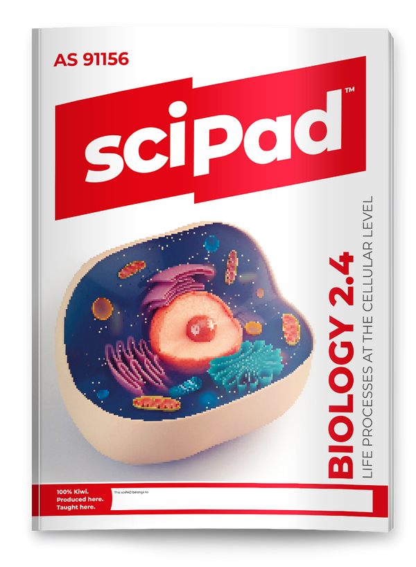 Biology 2.4 (Life Processes) sciPAD