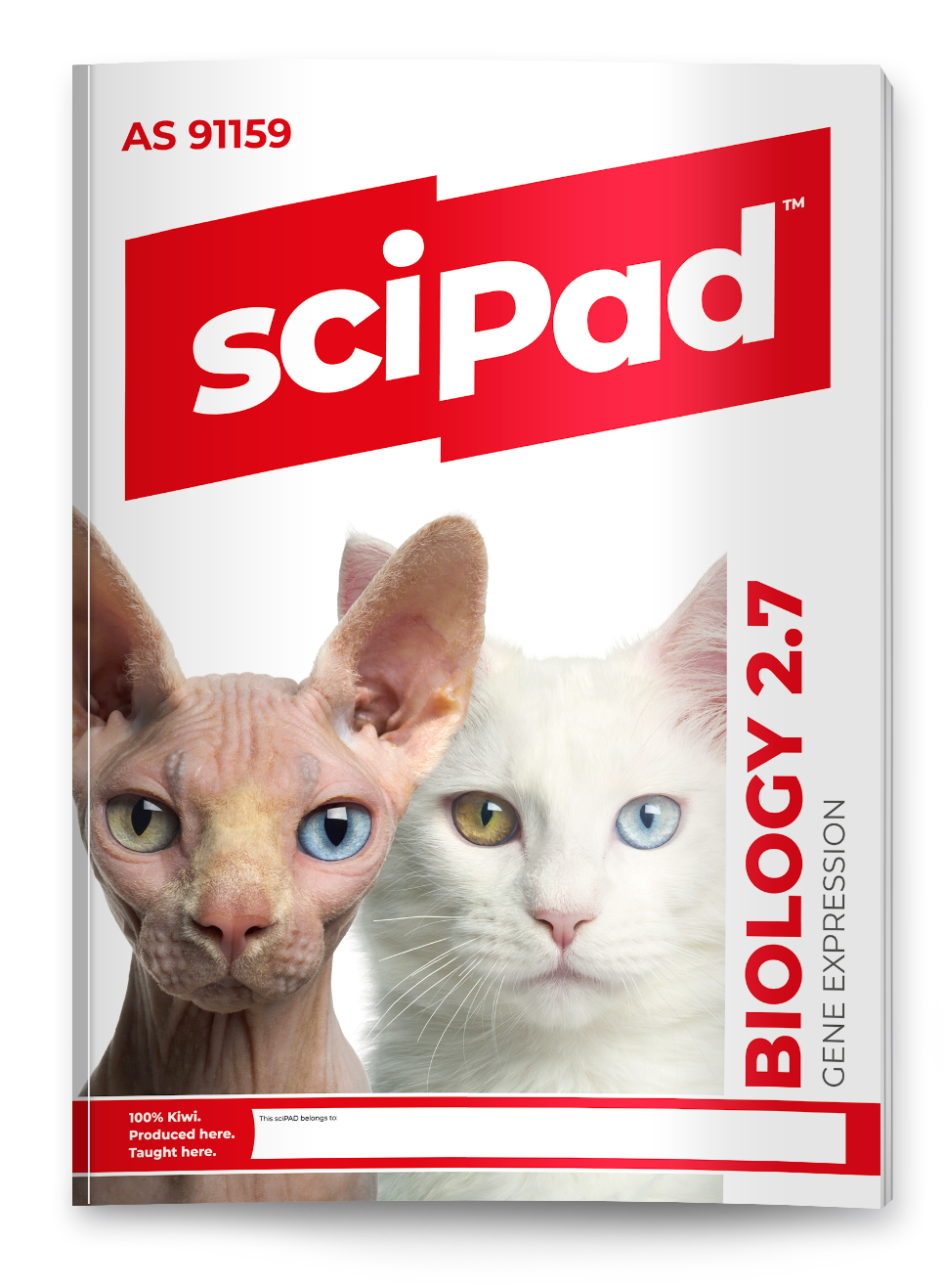Biology 2.7 (Gene Expression) sciPAD