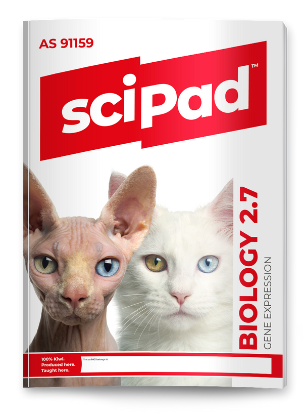 Biology 2.7 (Gene Expression) sciPAD