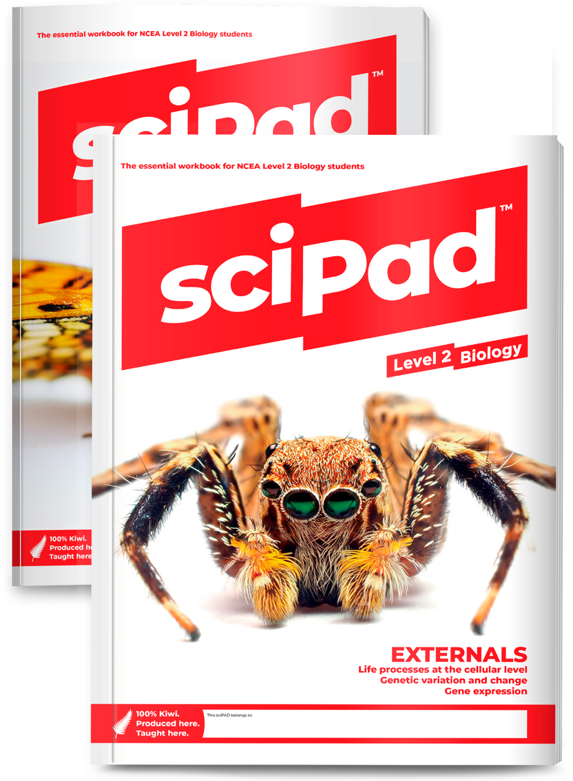 Level 2 Biology BUNDLE (Both External & Internal) – sciPAD NZ