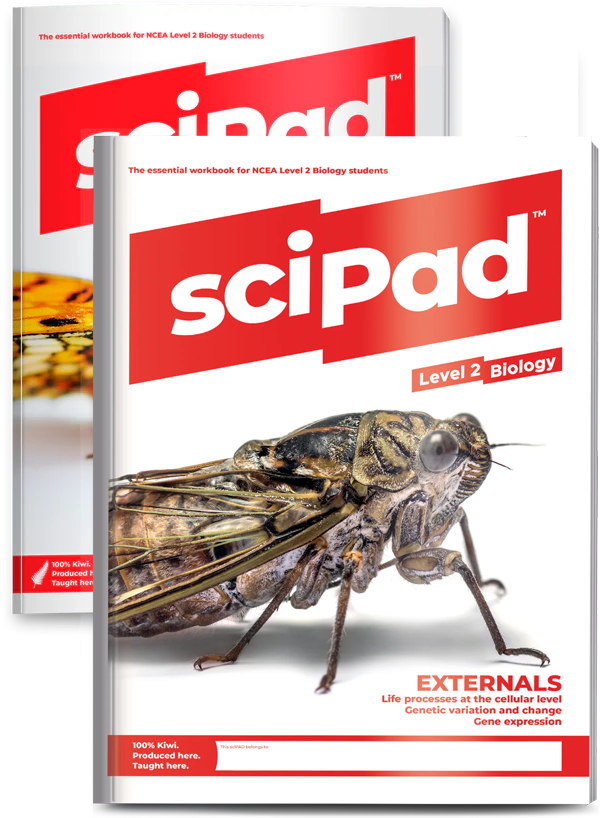 Level 2 Biology BUNDLE  (Both External & Internal)