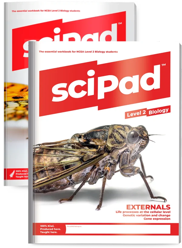 Level 2 Biology BUNDLE  (Both External & Internal)