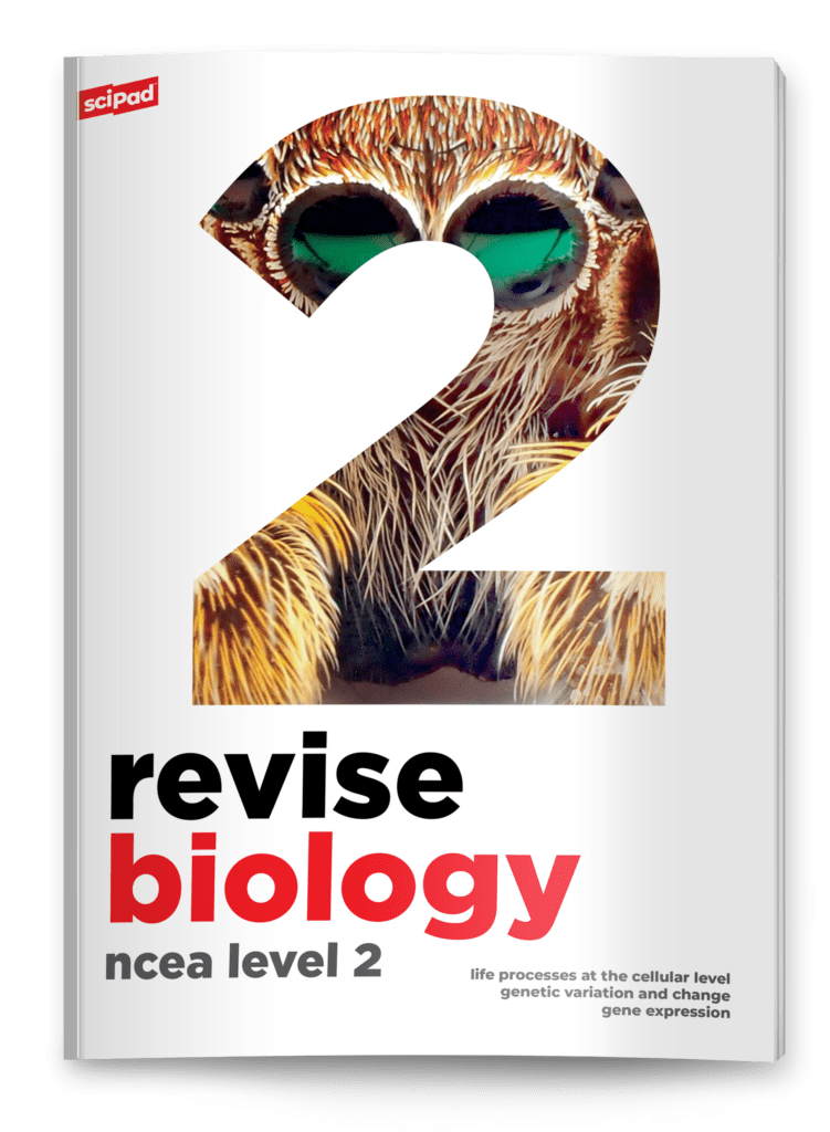 Ncea Level 2 Biology Revision Guide Scipad